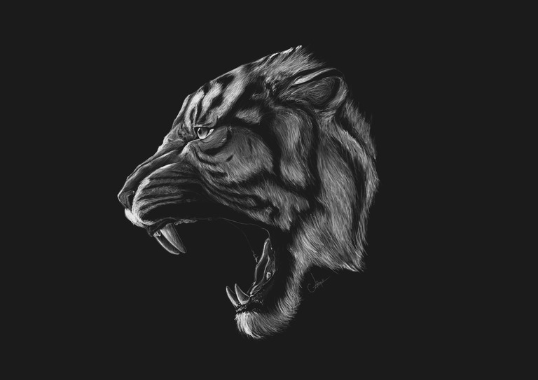 Tiger's Roar