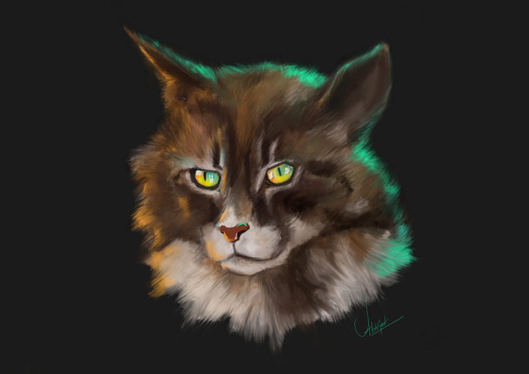 Neon Cat